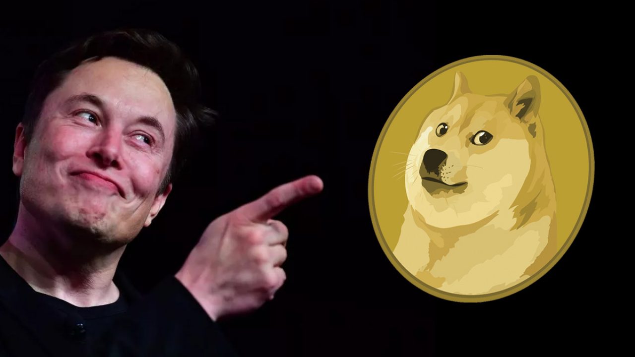 Илон Маск делает ставку на Dogecoin